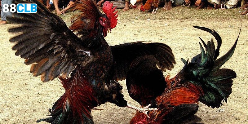 Tự đặt ra các giới hạn sẽ giúp bạn duy trì cuộc chơi lâu dài