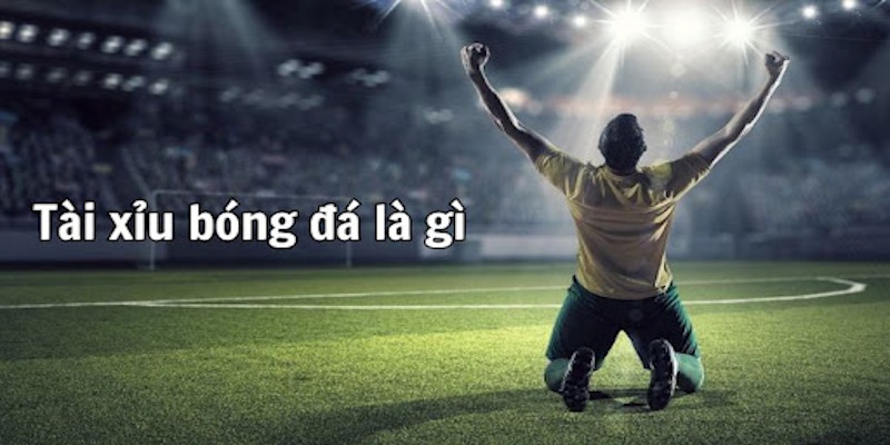 Khái niệm của tỷ lệ kèo tài xỉu bóng đá